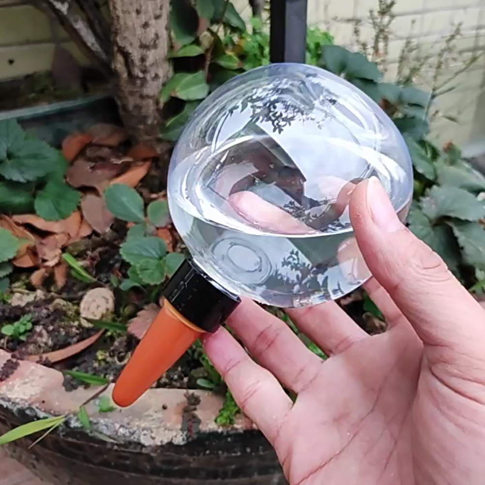 500ML Self Watering Globes Dri - Self-Watering Planter review and price