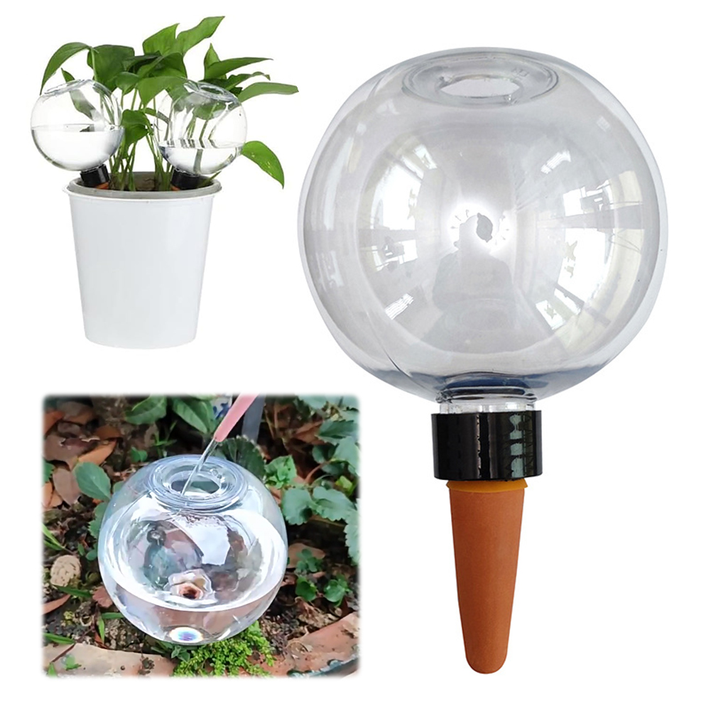 500ML Self Watering Globes Dri - Self-Watering Planter review and price