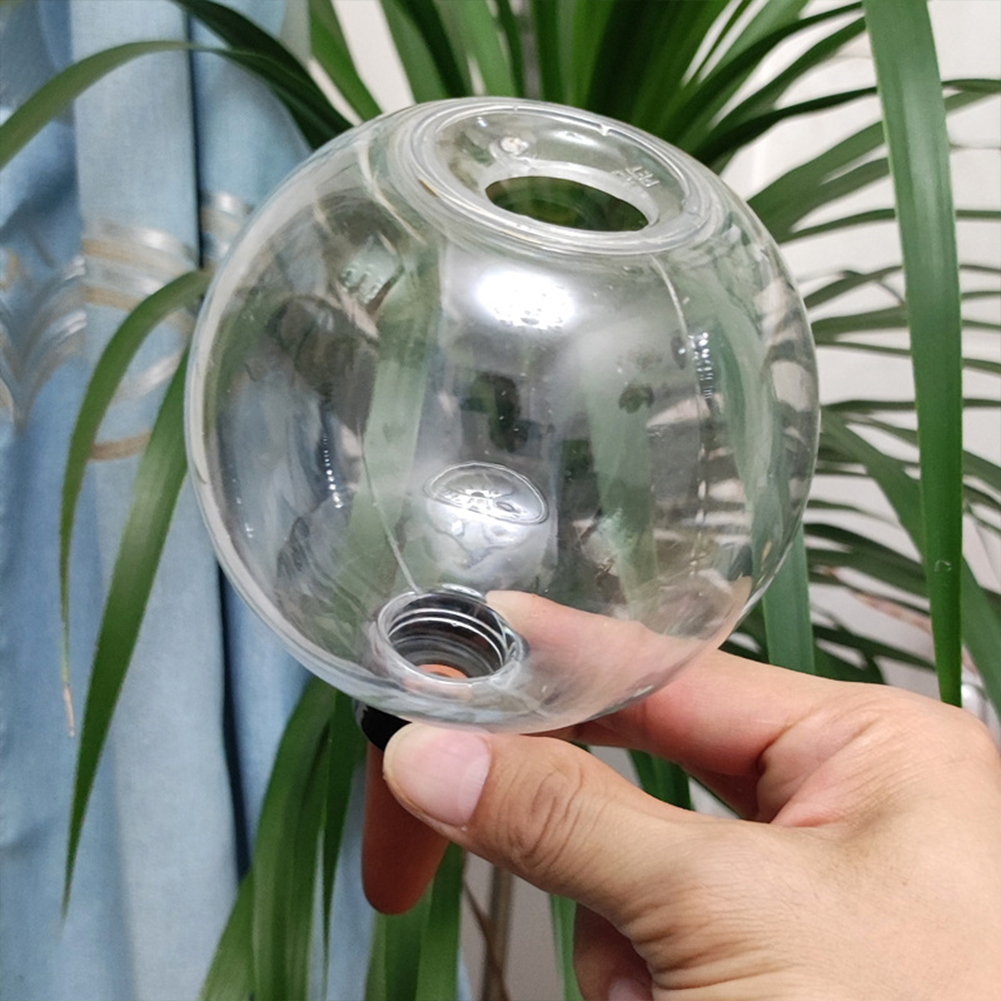 500ML Self Watering Globes Dri - Self-Watering Planter review and price