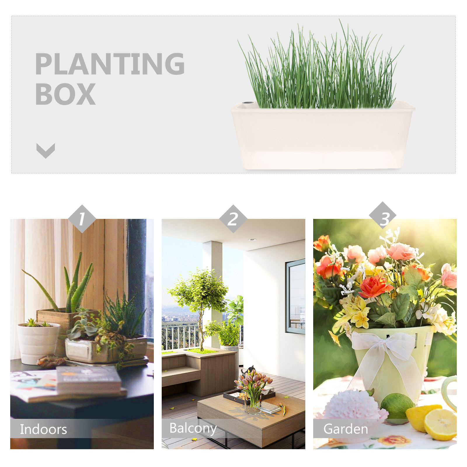 Rectangle Windowsill Planter B - Self-Watering Planter review and price