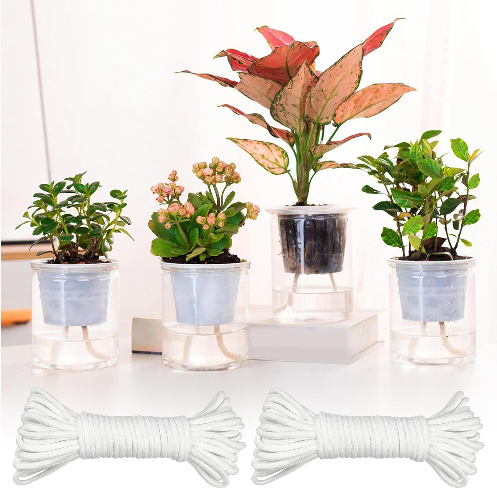 Plant Wicks For Self Watering  - Self-Watering Planter review and price