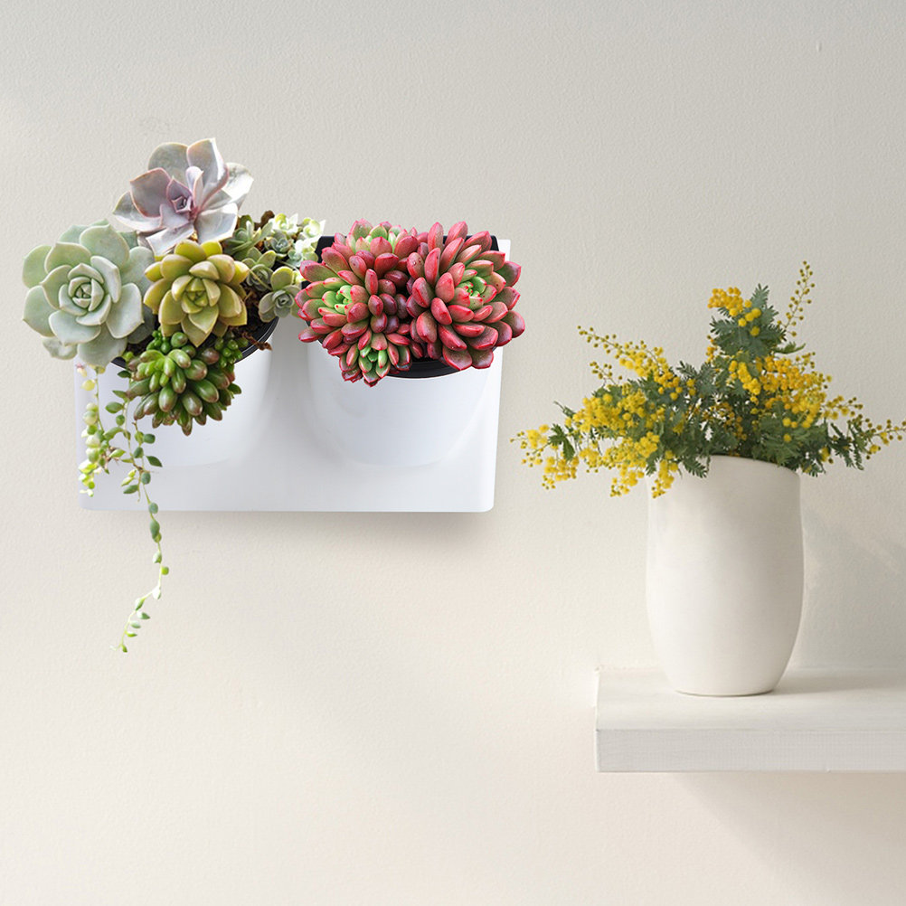 Self Watering Flower Pot Plast - Self-Watering Planter review and price