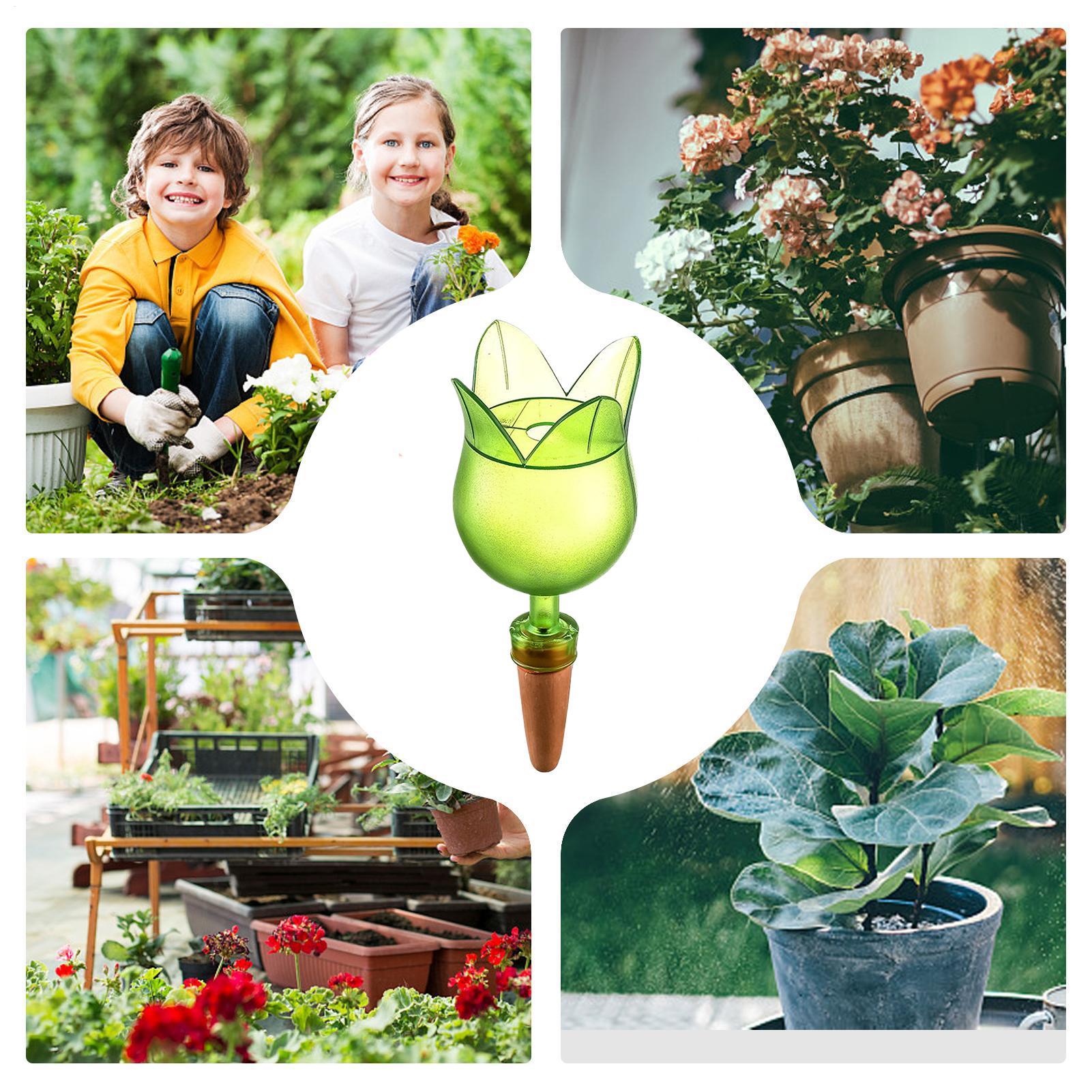 Plant Self Watering Devices Pl - Self-Watering Planter review and price