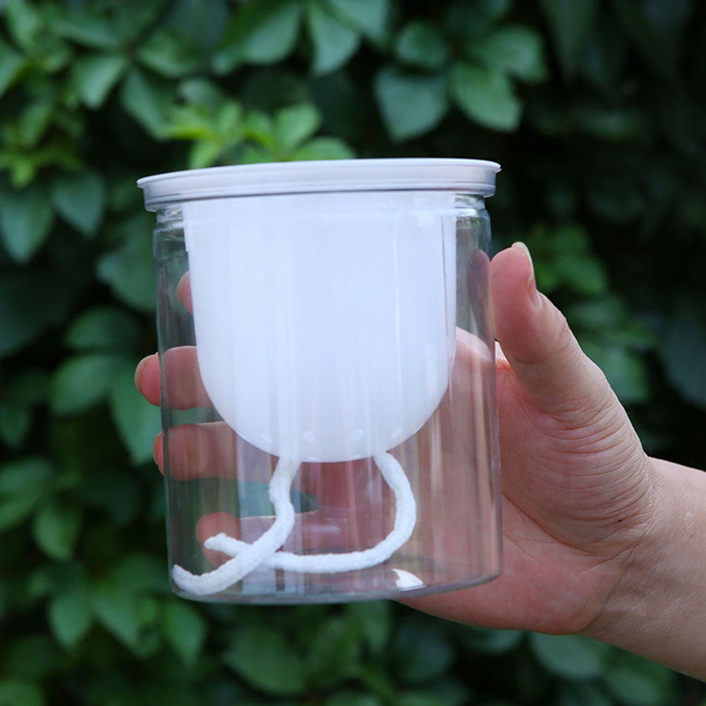 100Pcs Water Absorption Cotton - Self-Watering Planter review and price