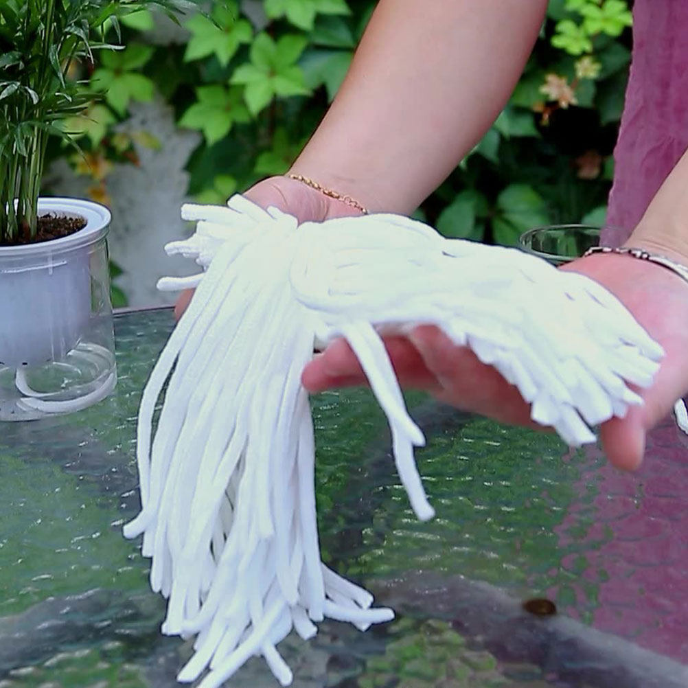 100Pcs Water Absorption Cotton - Self-Watering Planter review and price