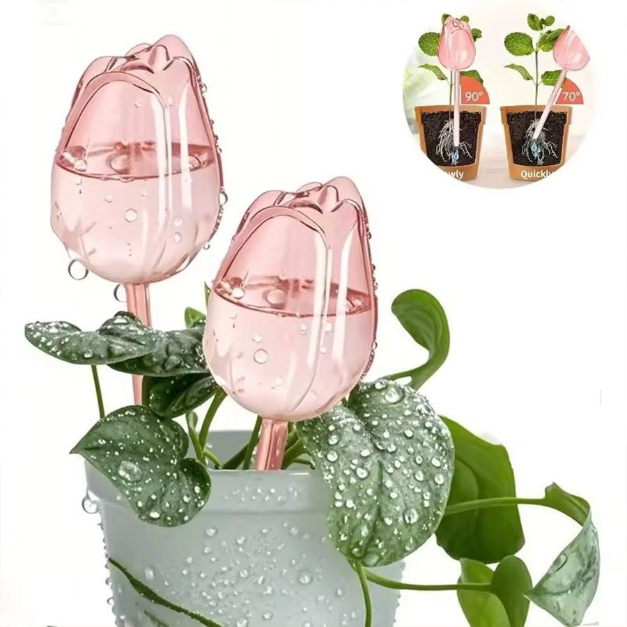 Transparent Thick PET Tulip Sh - Gardening Tools And Equipment review and price