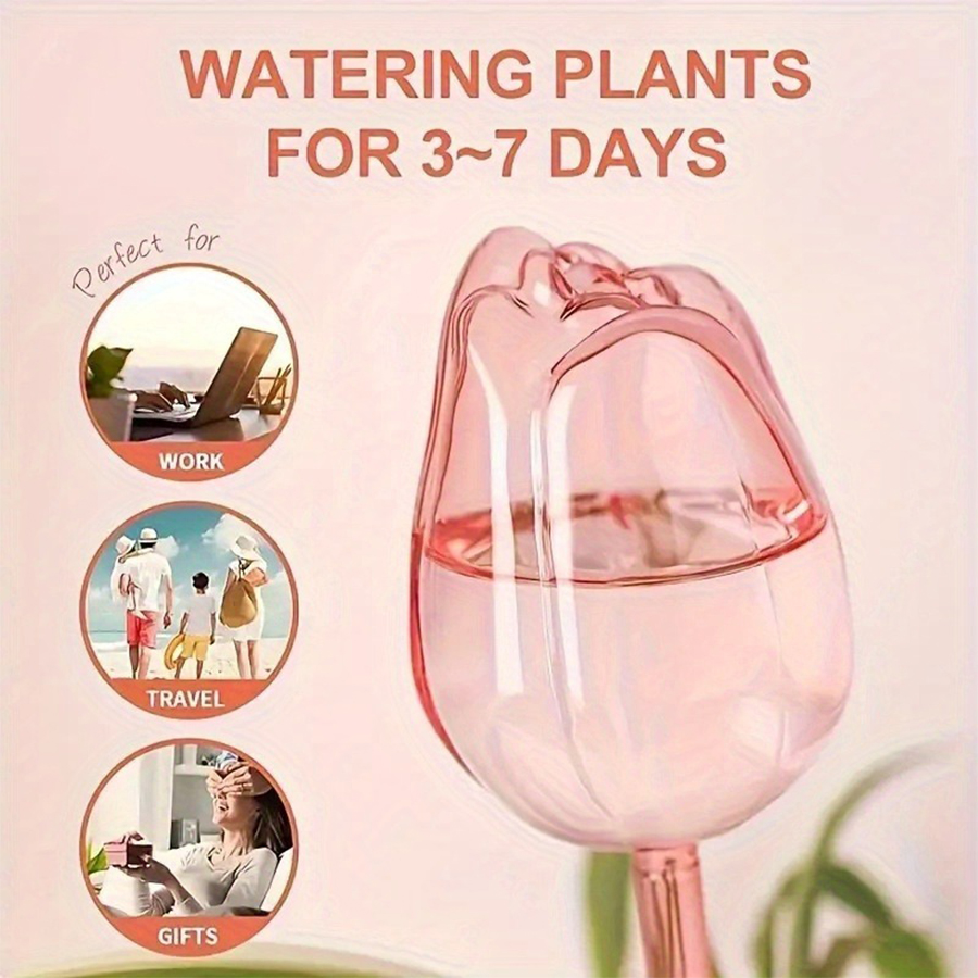 Transparent Thick PET Tulip Sh - Gardening Tools And Equipment review and price