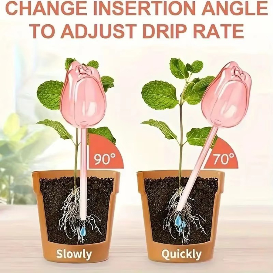 Transparent Thick PET Tulip Sh - Gardening Tools And Equipment review and price