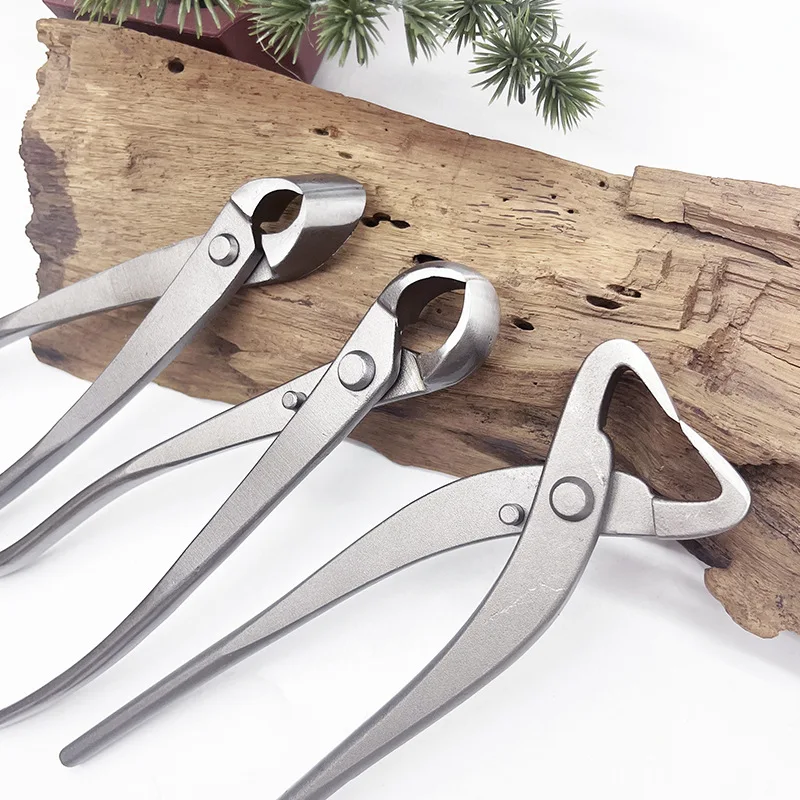 1pcs Stainless Steel Bonsai Pr - Bonsai Tool Set review and price