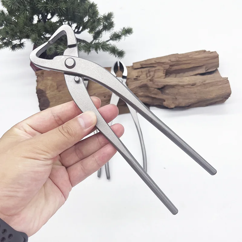 1pcs Stainless Steel Bonsai Pr - Bonsai Tool Set review and price