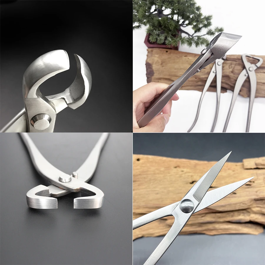 1pcs Stainless Steel Bonsai Pr - Bonsai Tool Set review and price