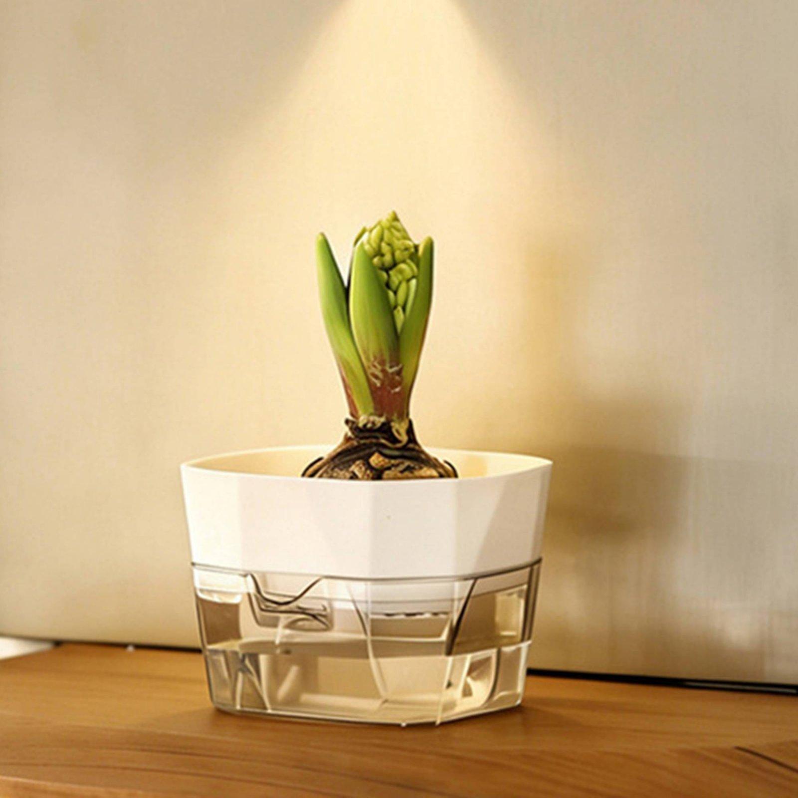 Hydroponic Vase Two Layer Self - Self-Watering Planter review and price