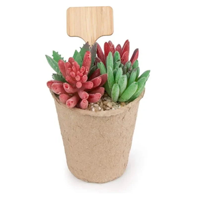 Garden Tags T-Type Bamboo Plan - Plant Label Tags review and price
