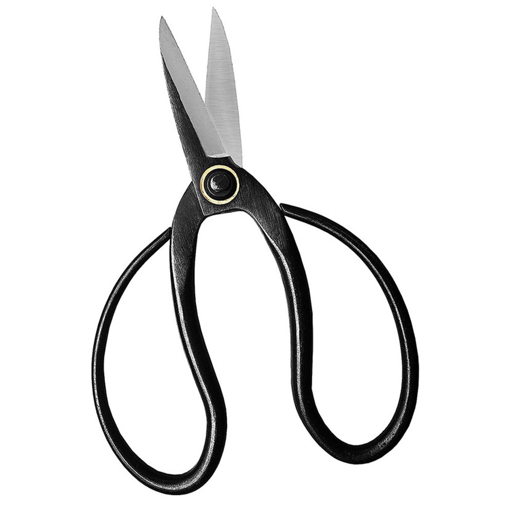 Professional Bonsai Scissors T - Bonsai Tool Set review and price