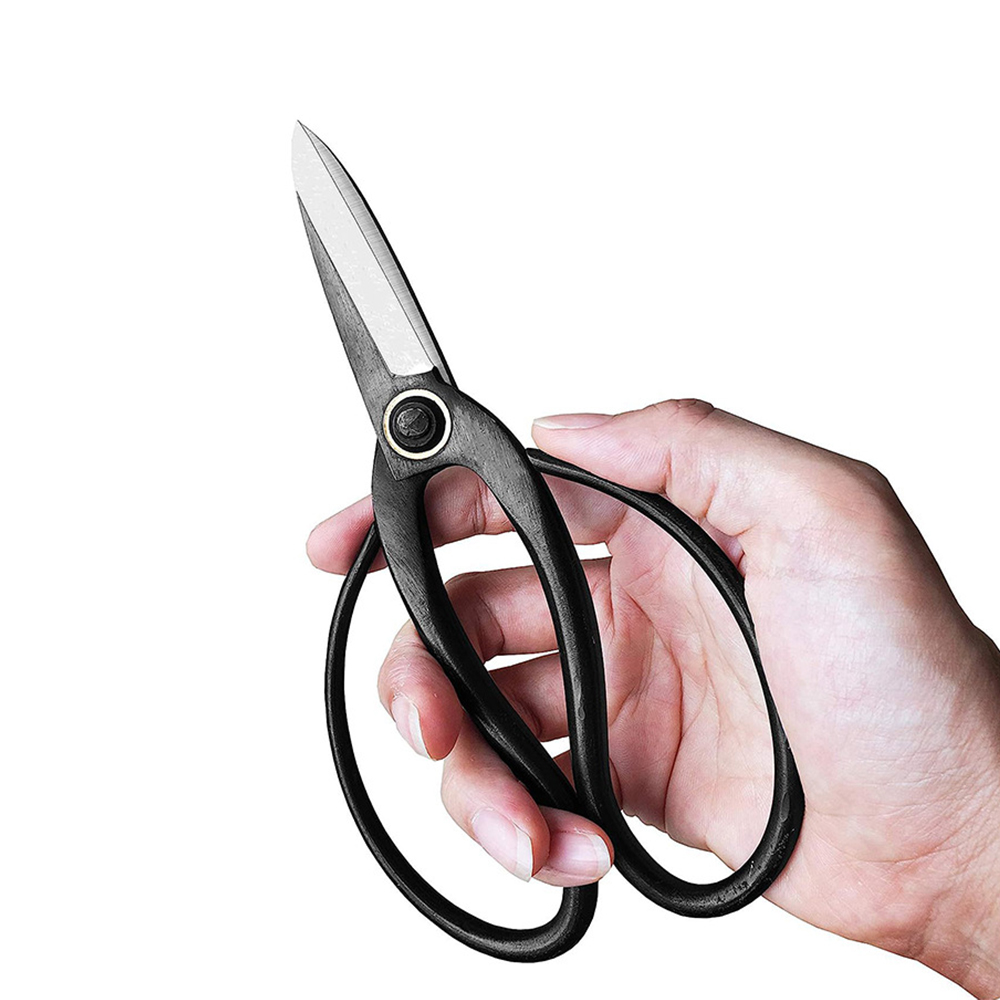 Professional Bonsai Scissors T - Bonsai Tool Set review and price