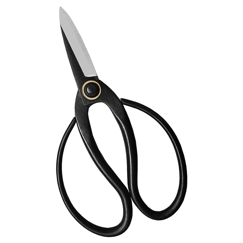 Professional Bonsai Scissors T - Bonsai Tool Set review and price