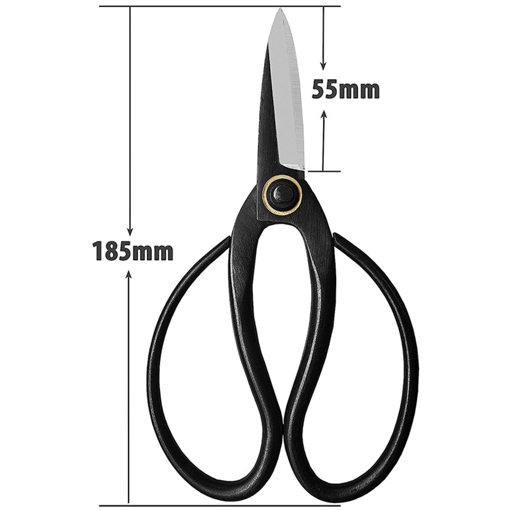 Professional Bonsai Scissors T - Bonsai Tool Set review and price