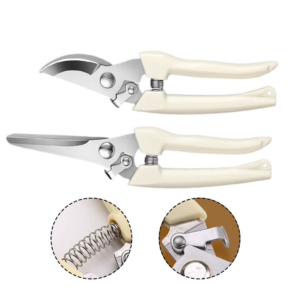 Pruner Shears Hand Tools Bonsa - Bonsai Tool Set review and price