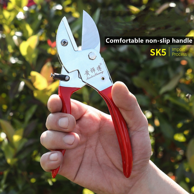 SK5 Steel Manual Garden Prunin - Bonsai Tool Set review and price