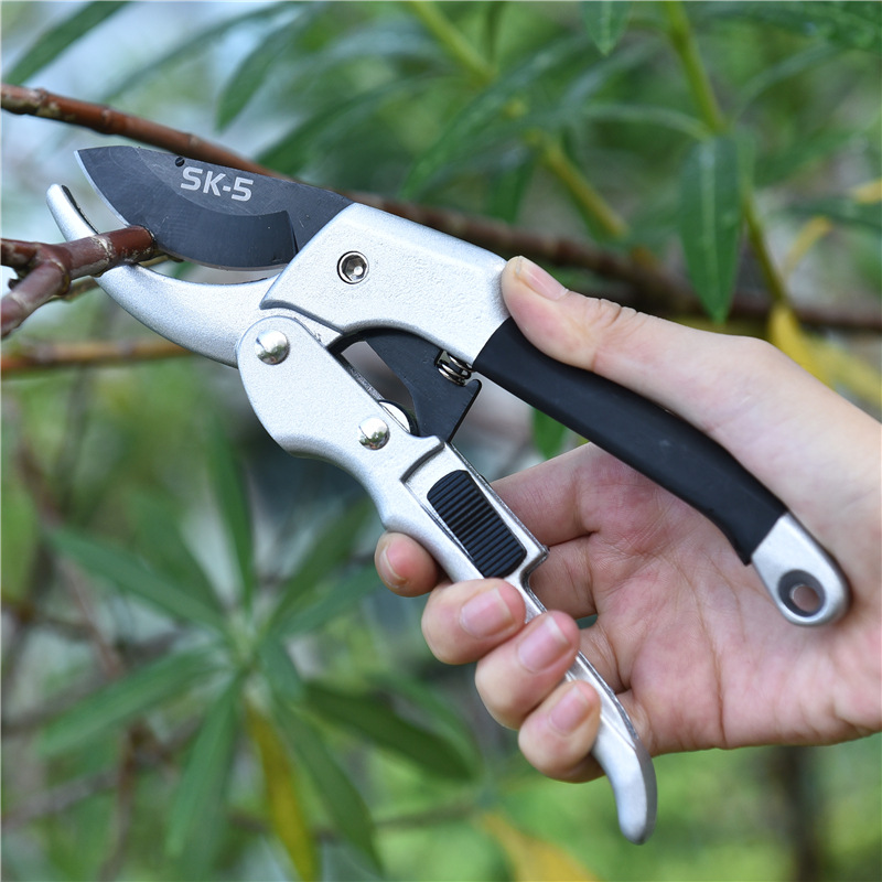 New 20cm Ratchet Plant Trim Ho - Garden Hand Trowel review and price