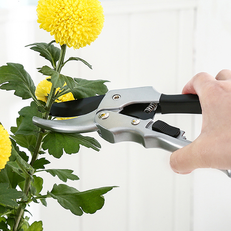 New 20cm Ratchet Plant Trim Ho - Garden Hand Trowel review and price