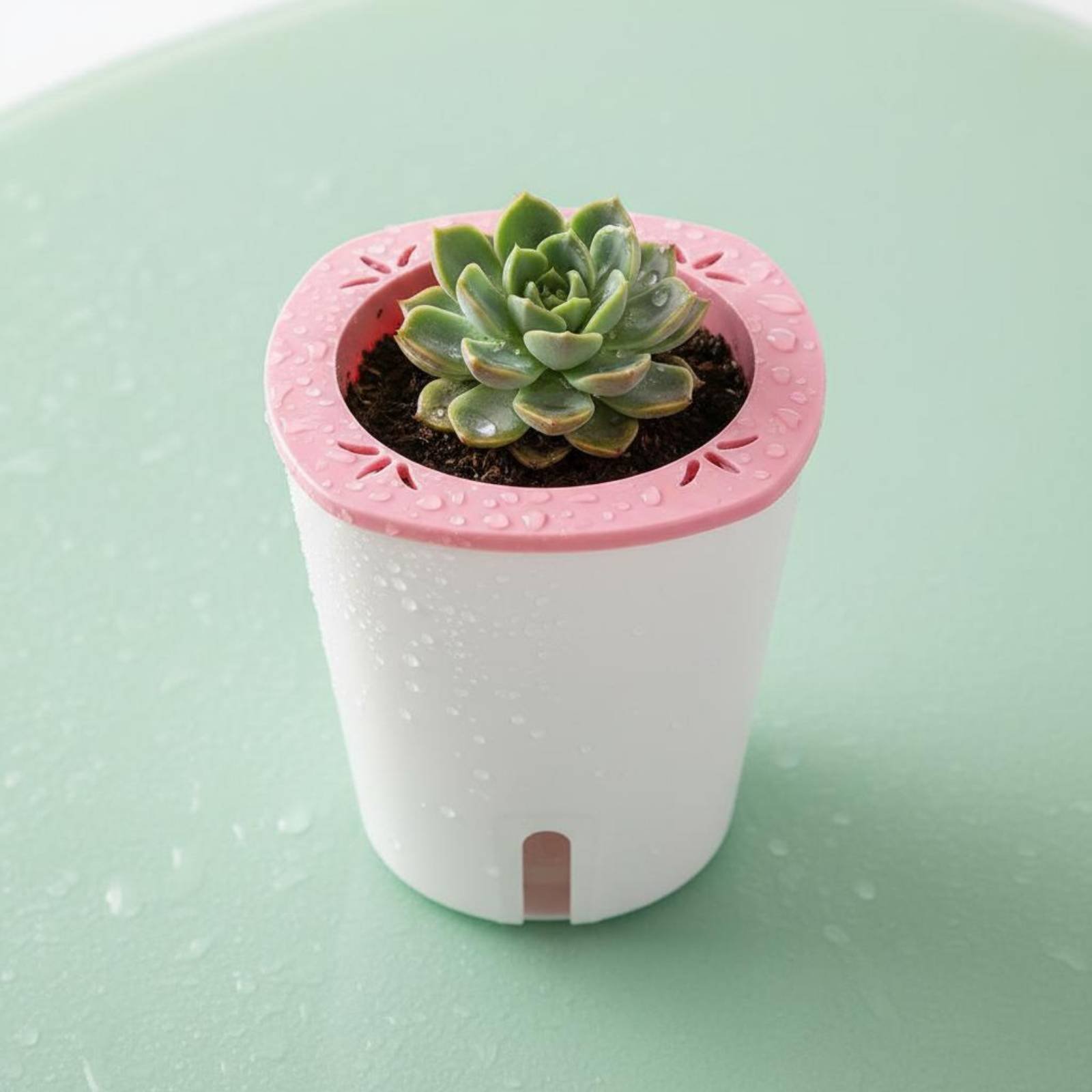 Self Watering Planter Large Si - Self-Watering Planter review and price