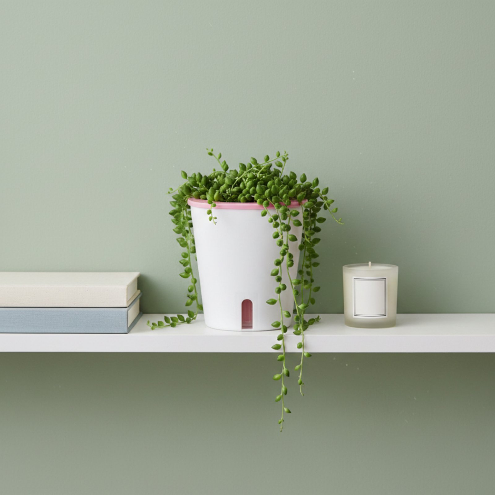 Self Watering Planter Large Si - Self-Watering Planter review and price