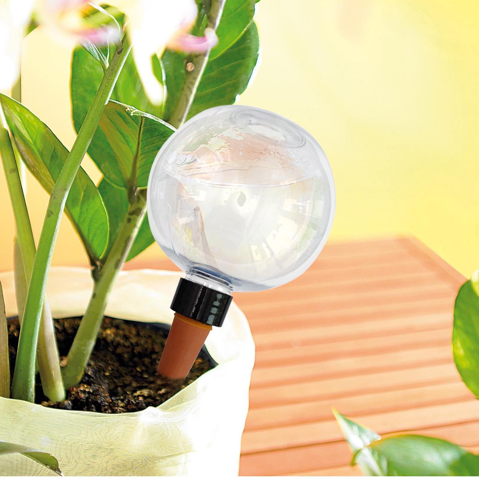 500ml Automatic Plant Watering - Self-Watering Planter review and price