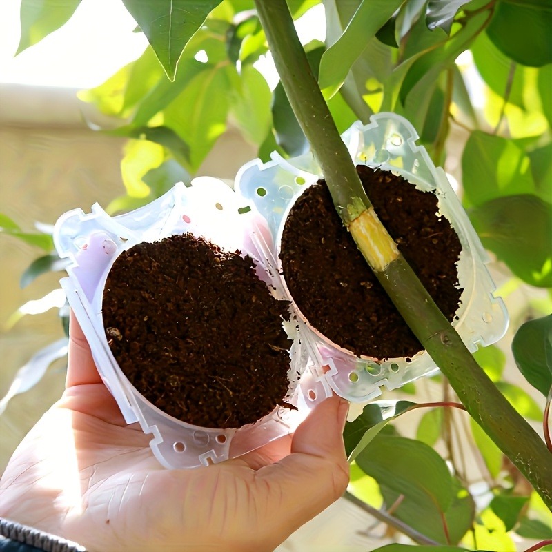 10Pcs High Pressure Plant Root - Gardening Tools And Equipment review and price