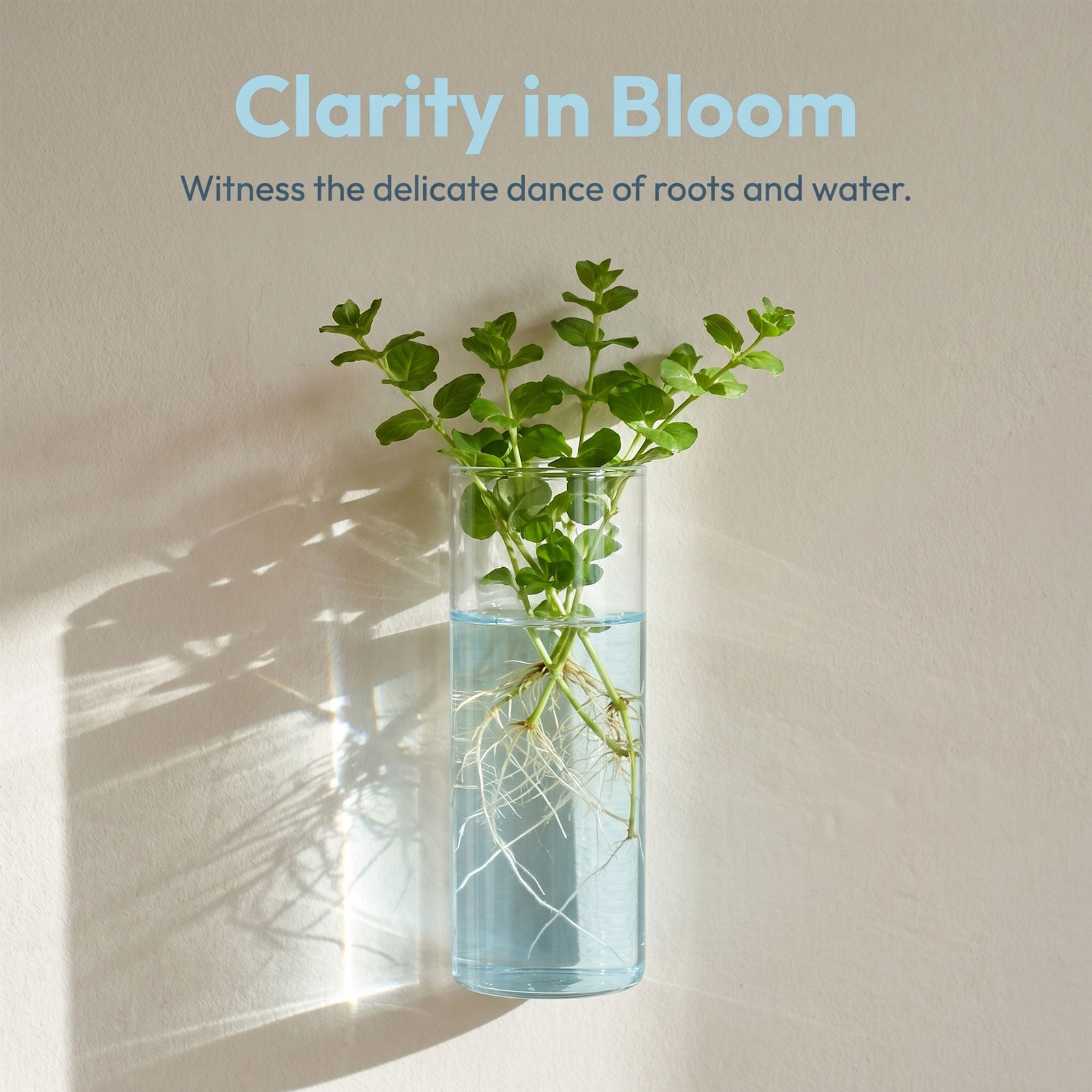 5Pcs Wall Planter Cylinder Gla - Vertical Wall Planter review and price